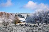  Trees rimed with frost, Col de l'Espinouse